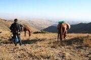 uzbekistan-horse-riding-in-nurota-moun_0.jpg