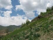  Uzbekistan Mountains. trekking to Aksarsay waterfall