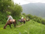 Uzbekistan Mt.Patandazboshi horse riding