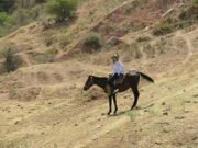 Horse riding in Uzbekistan mountains Aksakata-Beldersay (2)