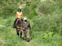 Uzbekistan paltau horseback riding