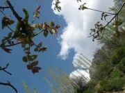  Uzbekistan Mountains. trekking to Aksarsay waterfall