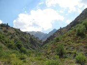 Trekking in Uzbekistan mountains. Aksarsay gorge 2