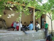 Uzbekistan. Picnic on the bank of Aksarsay river 