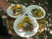 Uzbekistan. Picnic on the bank of Aksarsay river 