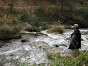 Uzbekistan mountains rainbow trout fishing