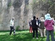 April tulips watching hiking in Uzbekistan mountains (3)