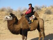 camelriding