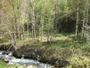  Uzbekistan Mountains. trekking to Aksarsay waterfall