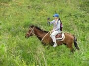 Uzbekistan Mt.Patandazboshi horse riding