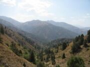 Horse riding in Uzbekistan mountains Aksakata-Beldersay (5)