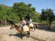 pulatkhan-horseback-riding-2.jpg