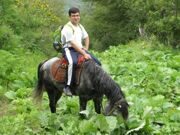 Uzbekistan Mt.Patandazboshi horse riding 2