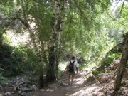 Gulkam canyon, Uzbekistan mountains (1)