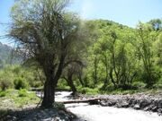 Uzbekistan. trekking to Aksarsay waterfall 